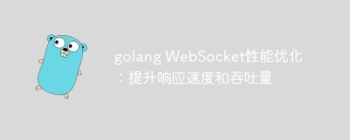 golang websocket性能优化：提升响应速度和吞吐量