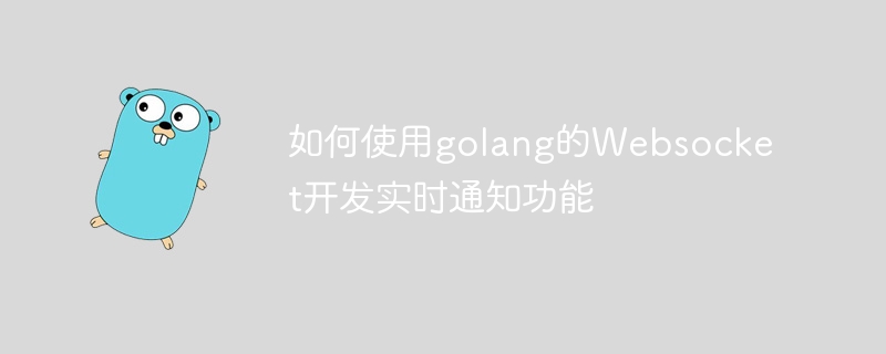 Cara menggunakan Websocket golang untuk membangunkan fungsi pemberitahuan masa nyata