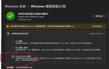 Win11 release preview通道有什么作用？更新Win11是否推荐使用release preview频道？