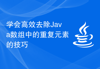 学会高效去除Java数组中的重复元素的技巧