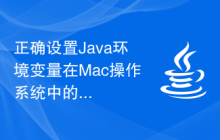 正确设置Java环境变量在Mac操作系统中的方法是什么？