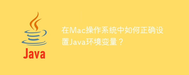 在Mac操作系统中如何正确设置Java环境变量？