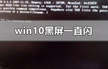 解决Windows 10持续闪烁的黑屏问题