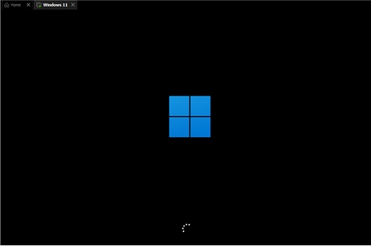 Installation tutorial of win11 image