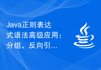 Java 正規表現構文の高度なアプリケーション: グループ化、後方参照、およびゼロ幅アサーション