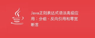 java正则表达式语法高级应用：分组、反向引用和零宽断言