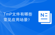 TmP文件有哪些常见应用场景？