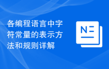 各编程语言中字符常量的表示方法和规则详解