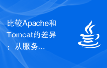 比较Apache和Tomcat的差异：从服务器类型、静态和动态内容处理等方面进行详细解析