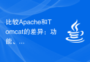 比较Apache和Tomcat的差异：功能、用途和性能分析