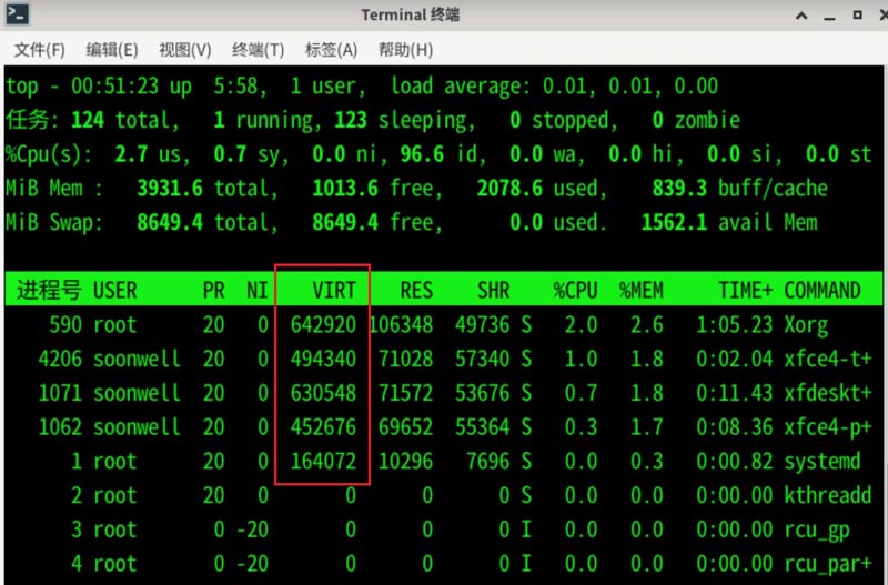 Debian11怎么查看虚拟内存使用情况? 查看进程占用虚拟内存技巧