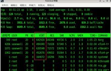 如何在Debian11中监控虚拟内存使用情况？了解虚拟内存占用的进程技巧