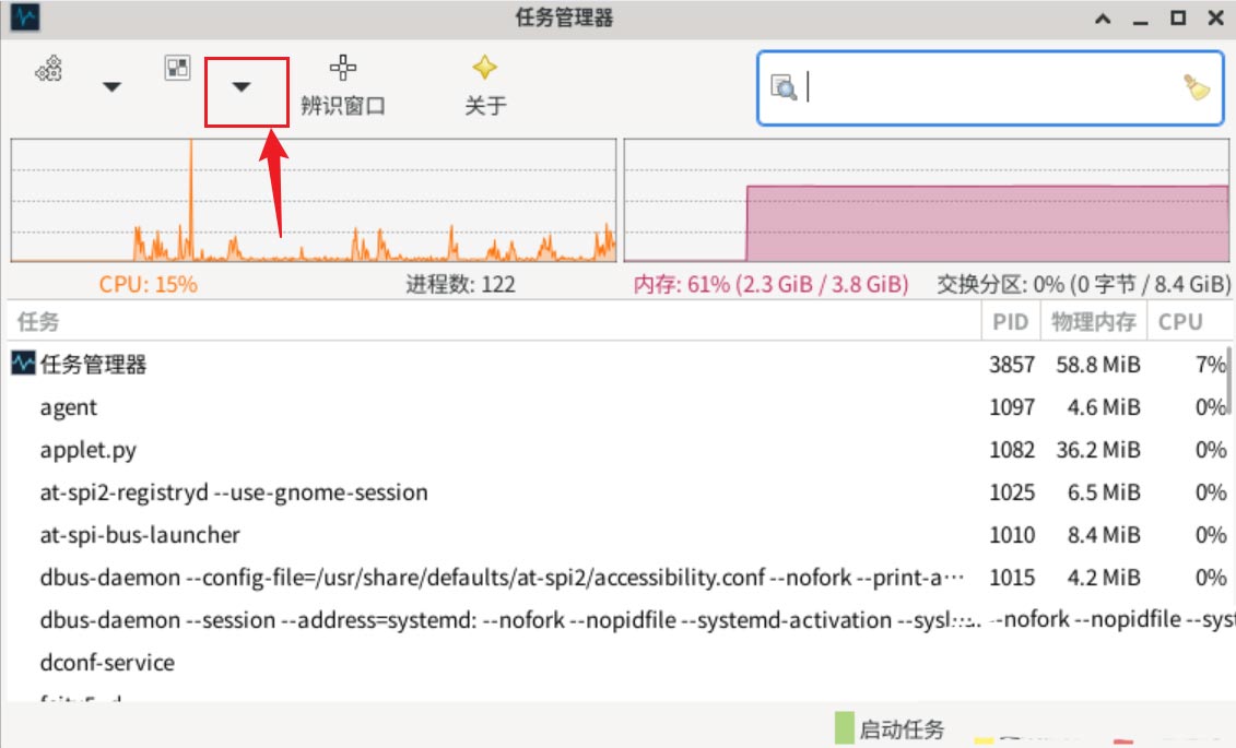 Debian11怎么查看虚拟内存使用情况? 查看进程占用虚拟内存技巧