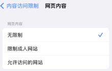 iOS 16如何解决Safari无痕浏览模式无法找到且无法清除历史记录的问题？