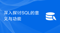 SQL의 의미와 기능에 대한 심도 있는 논의