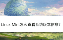 如何查看Linux Mint系统版本信息及相关技巧
