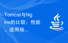 Tomcat与Nginx的比较：性能、适用场景等方面的差异研究