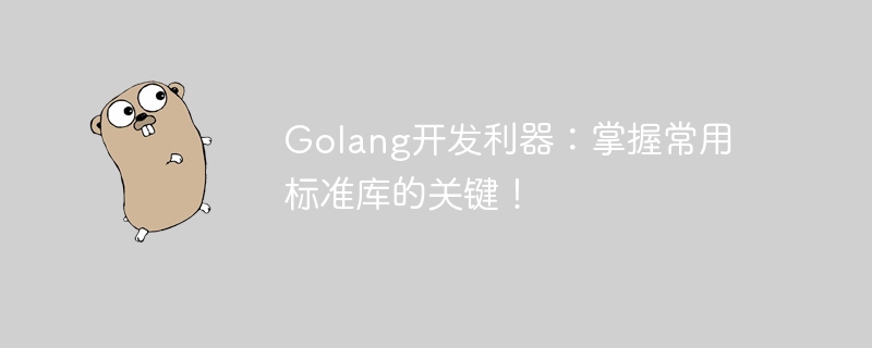 마스터 Golang 개발 도구: 일반적으로 사용되는 표준 라이브러리에 대한 핵심 팁!