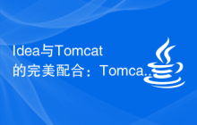 Idea与Tomcat的完美配合：Tomcat配置指南