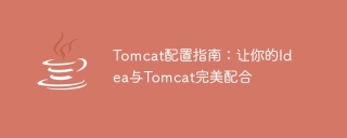 Perfect cooperation between Idea and Tomcat: Tomcat configuration guide