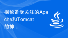 Revealing the secrets of the much-talked-about Apache and Tomcat
