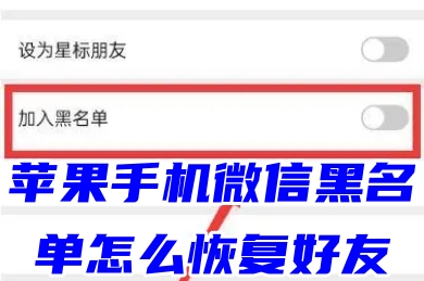 苹果手机微信黑名单怎么恢复好友 微信联系人拉黑了怎么找回来