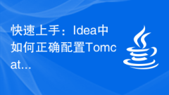 Quick Start: How to correctly configure the Tomcat server in Idea