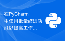 在PyCharm中使用批量缩进功能以提高工作效率的小窍门