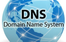 清除 Linux/Unix/Mac 上的 DNS 查询缓存