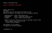 设置 Ubuntu 系统的远程访问
