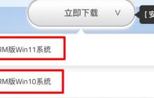 自学下载Win11镜像的PD17教程