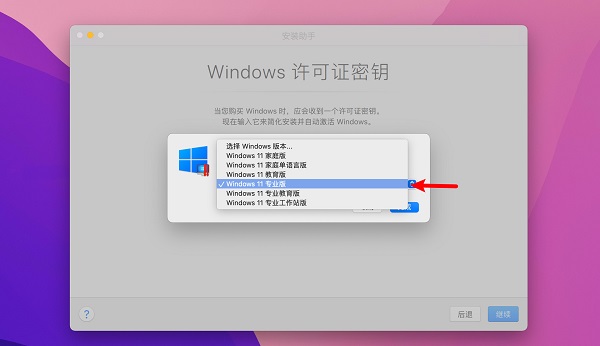 自学下载Win11镜像的PD17教程