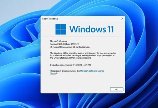 Wie lautet die Versionsnummer von win1123h2?