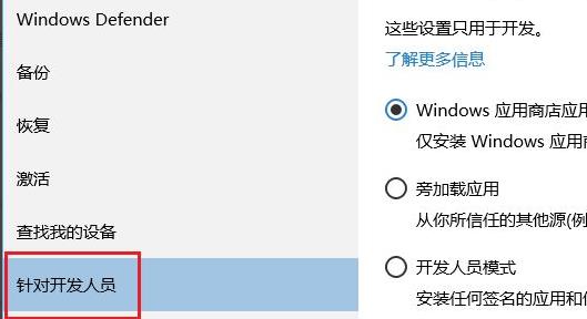 Win11 개발자 미리보기를 열 수 없는 문제를 해결하는 방법