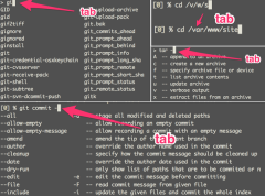 zsh 是最佳的 shell 选择？