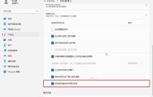 如何解决Win11预览版25295托盘时间显示秒数无法继续的问题? Win11秒数显示技巧