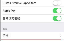 如何修复iOS 15升级后Touch ID无法激活的问题？