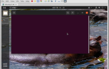ubuntu21.04的软件安装方法: 使用ubuntu的三种软件安装方式