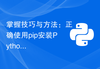 掌握技巧与方法：正确使用pip安装Python包的指南