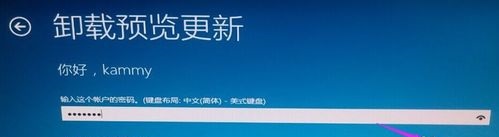 解决无法卸载Win10更新的方法