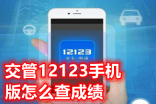 在手机12123上，如何查询成绩