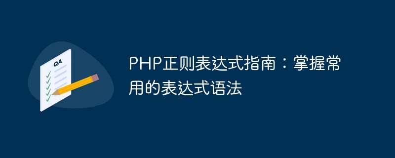 PHP正则表达式指南：掌握常用的表达式语法