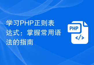 Lernen Sie reguläre PHP-Ausdrücke: Ein Leitfaden zur Beherrschung der allgemeinen Syntax