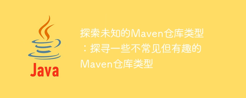 探索未知的Maven仓库类型：探寻一些不常见但有趣的Maven仓库类型