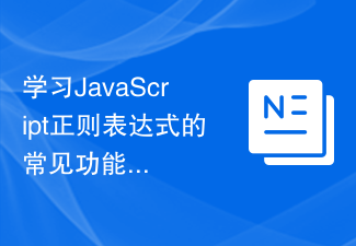 JavaScript 正規表現の一般的な関数と構文を学習します