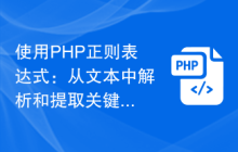 使用PHP正则表达式：从文本中解析和提取关键信息