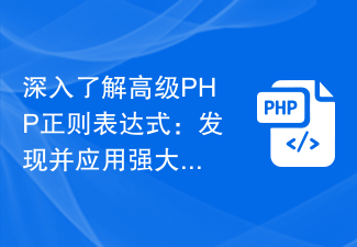 深入了解高级PHP正则表达式：发现并应用强大的匹配和替换技巧