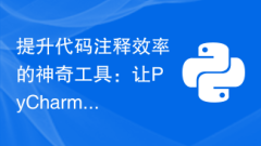 A magical tool to improve code comment efficiency: make PyCharm your first choice