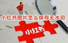 小红书如何保存无水印图片到相册以及关闭下载水印功能