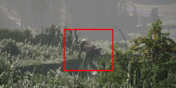 《荒野大镖客2》完美麋鹿皮获得方法介绍